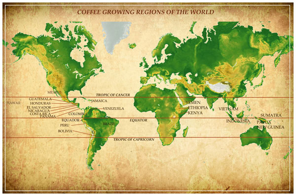 Coffee-Map21